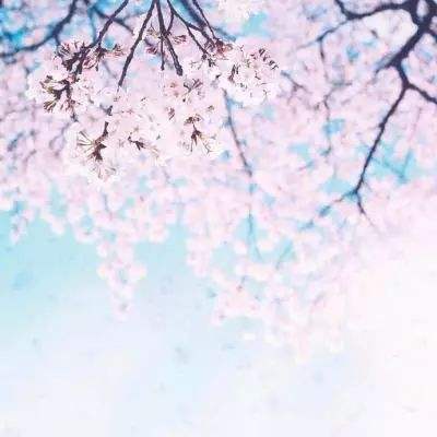 开玩棋牌手机app下载